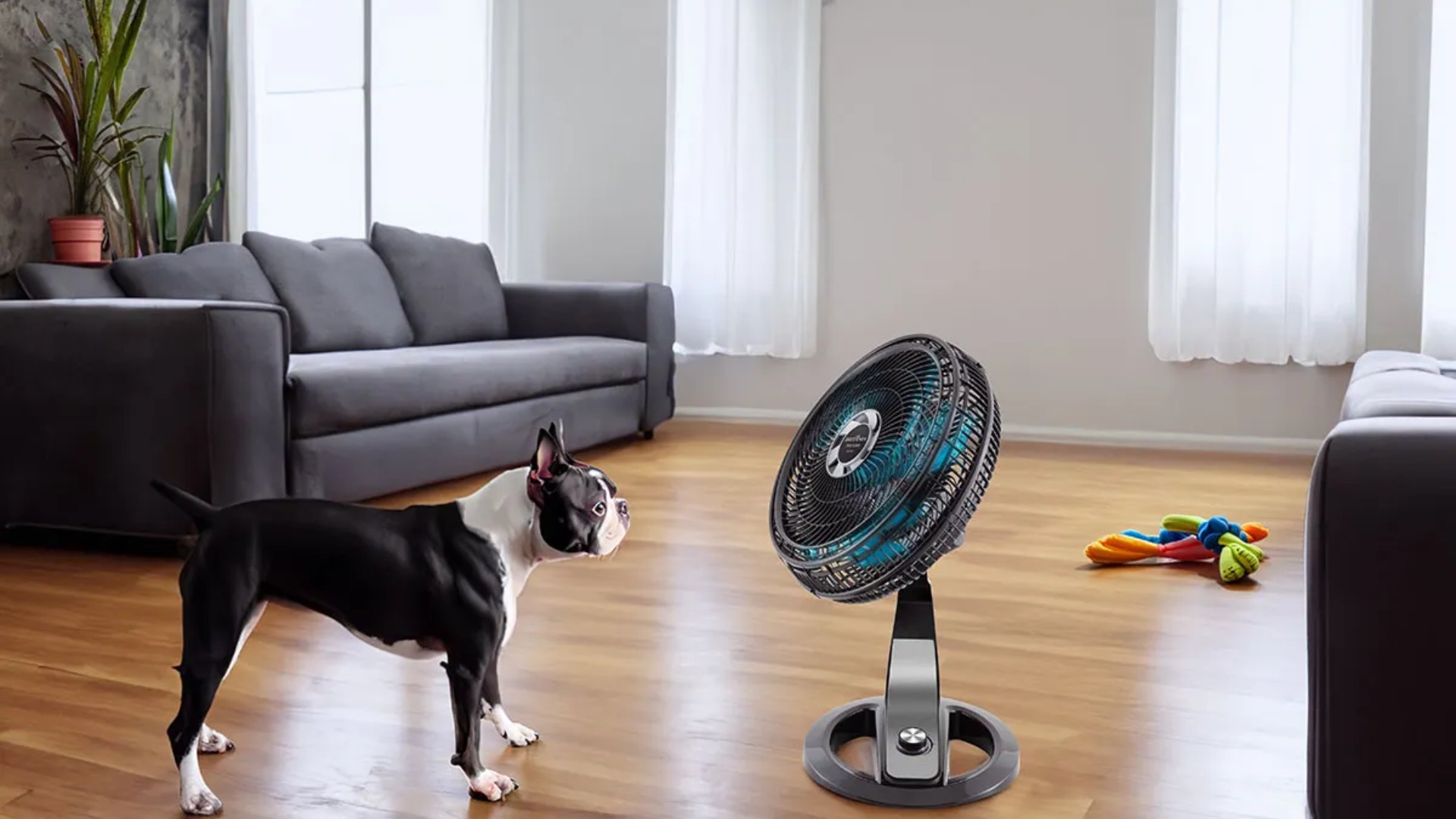 Ventiladores estão com descontos de até 55% na Semana do Consumidor