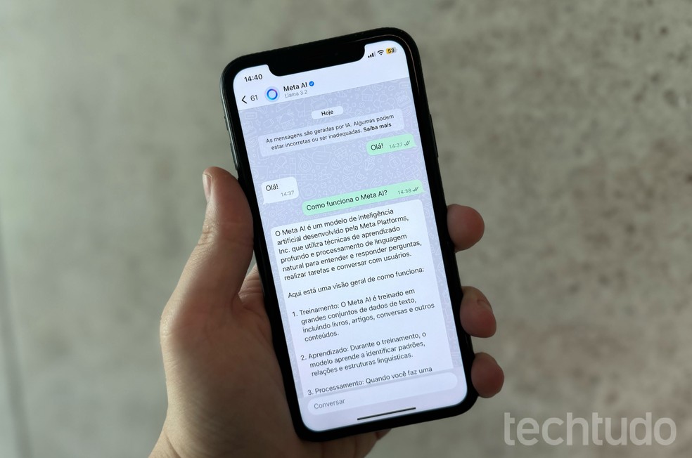 Como usar a Meta AI no WhatsApp? Veja tudo o que o recurso pode fazer — Foto: Victor Bastos/TechTudo