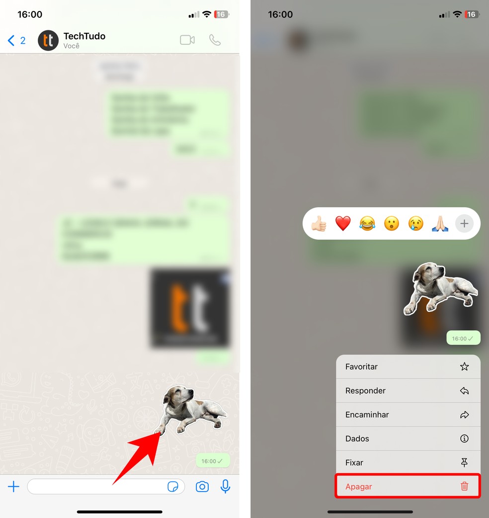 Saiba como apagar figurinha do WhatsApp no iPhone — Foto: Reprodução/Rodrigo Fernandes