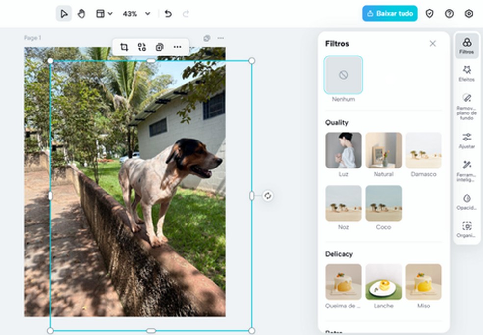  Reprodução/Gabriel Iquegami