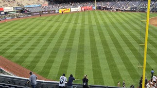  Ana Letícia Loubak/TechTudo