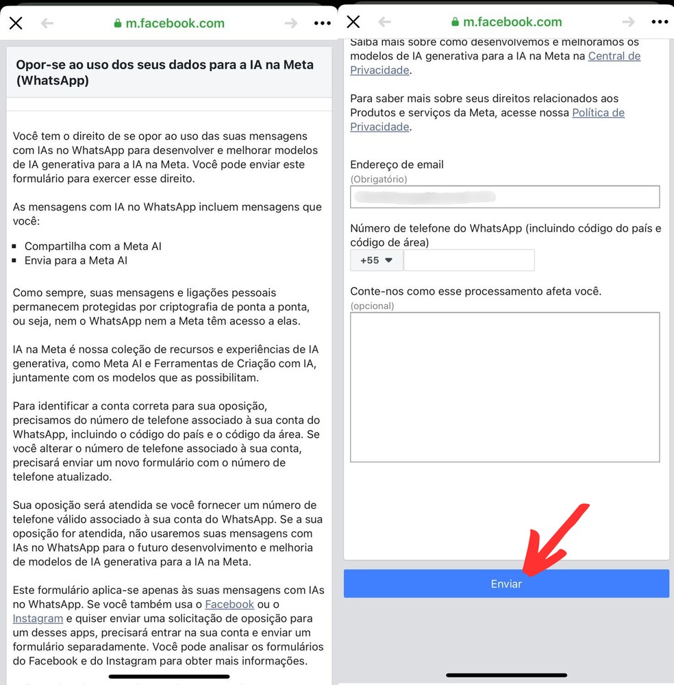 Meta AI: veja como se opor à coleta de dados da ferramenta no WhatsApp — Foto: Reprodução/Clara Fabro