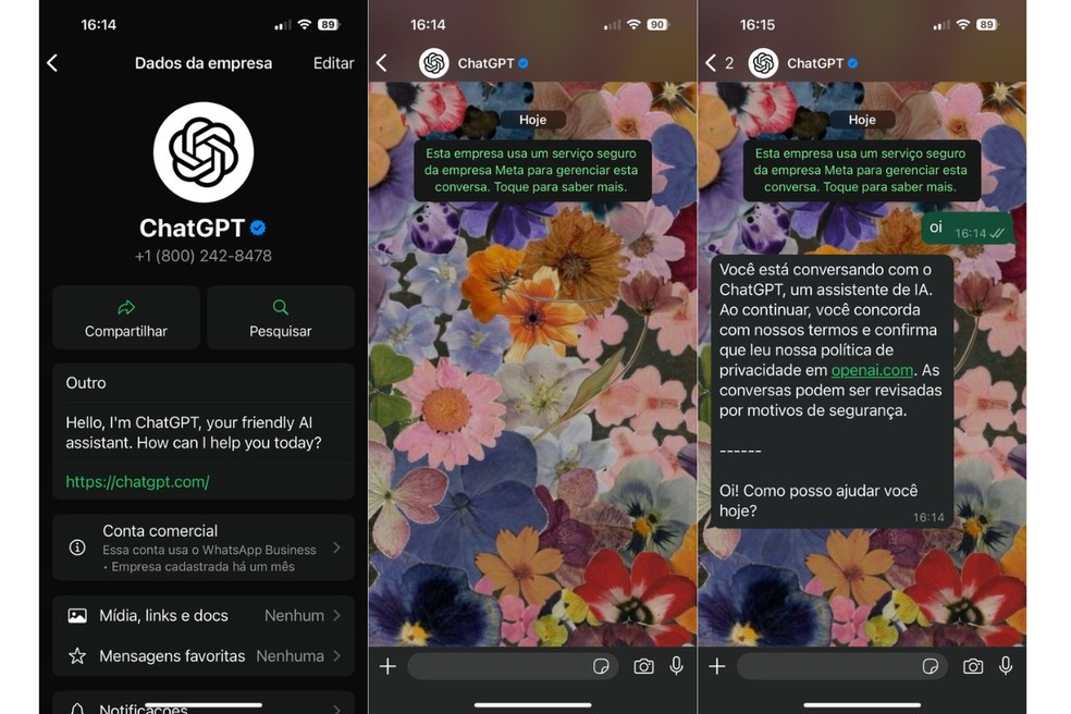  Reprodução/Carolina Torres