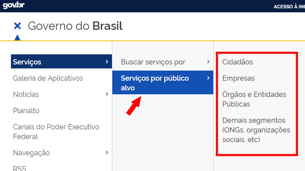 Como usar o Portal Gov.br? Veja tudo que você pode fazer no site