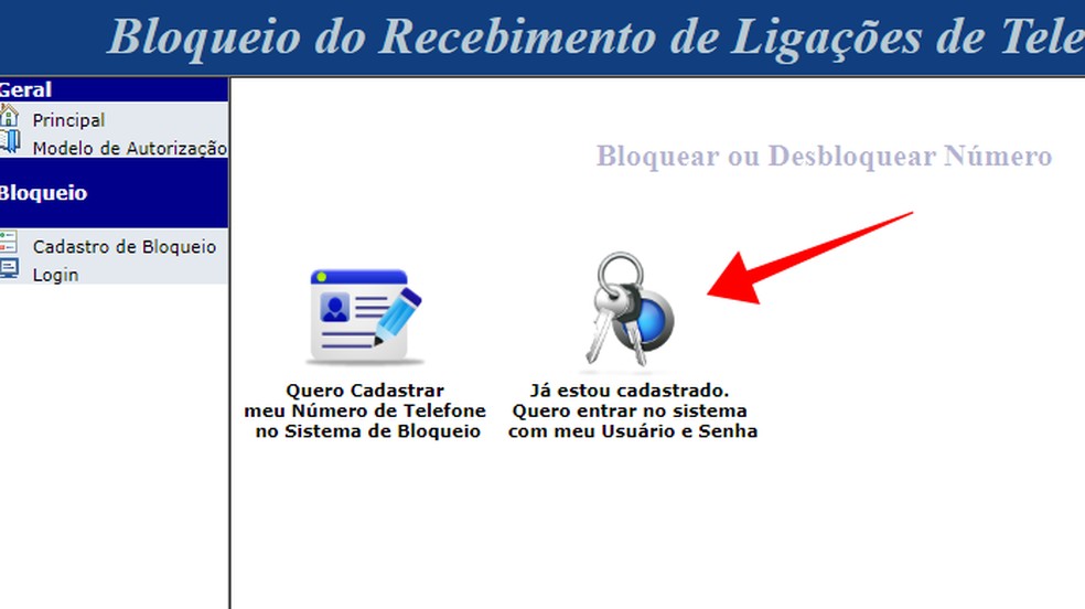 Altere dados no sistema de bloqueio de telemarketing do Procon-SP — Foto: Reprodução/Paulo Alves