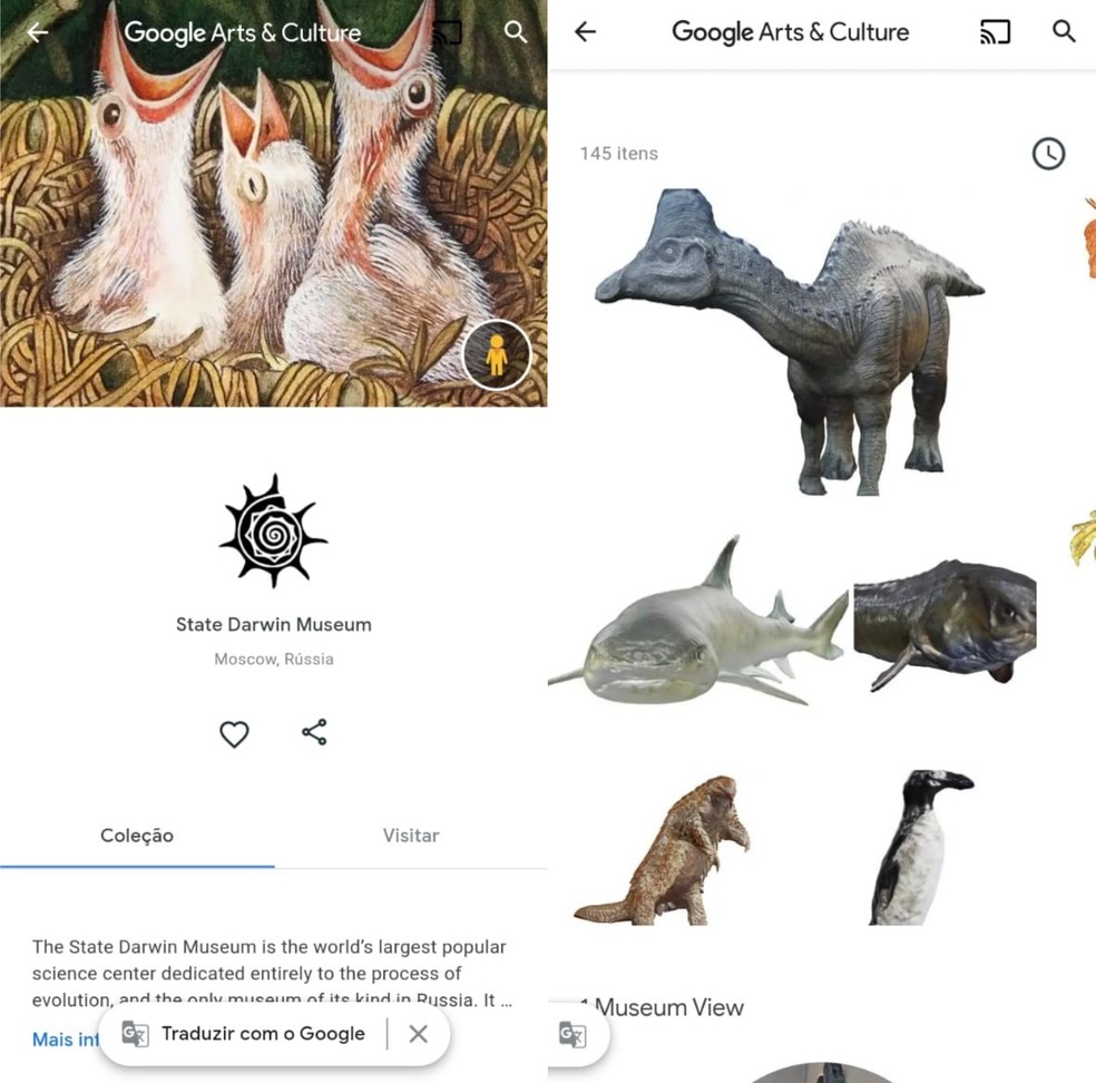 Grave vídeos com os animais 3D de realidade aumentada do Google - Vida  Celular