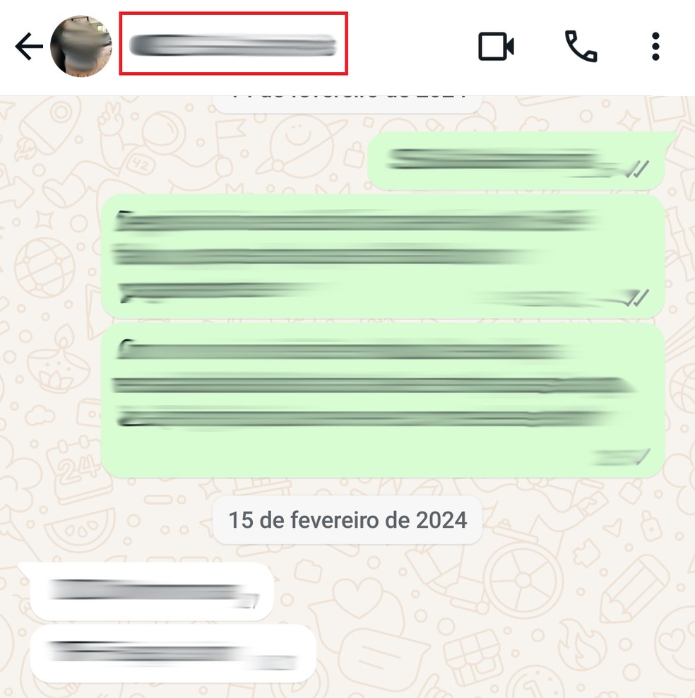 Acesse a conversa e toque no nome do contato — Foto: Reprodução/Bruno Guerra