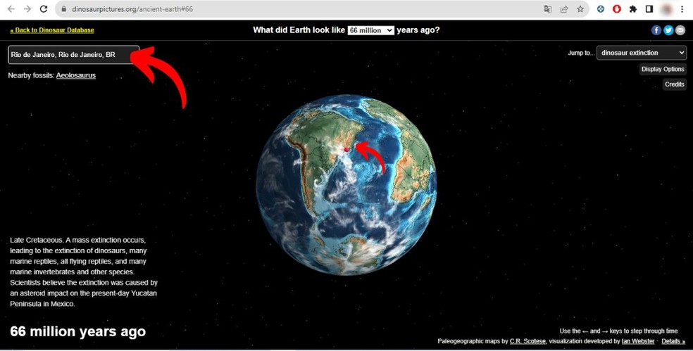 Campo para digitar o nome da cidade; o fóssil mais próximo aparece em um link abaixo — Foto: Reprodução/Millena Borges