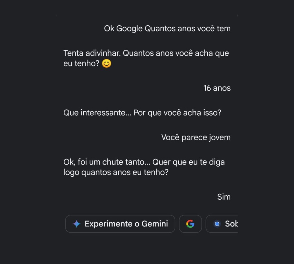 "Ok, Google, quantos anos você tem?": Comando inicia conversa com a ajudante sobre sua idade. — Foto: Beatriz Abilio/TechTudo