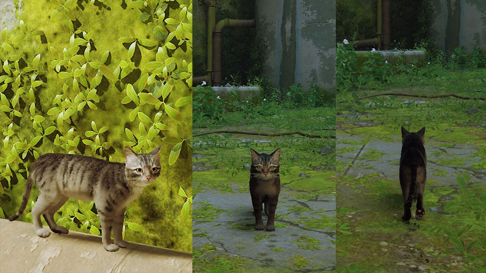 Stray: novo mod permite ter gatos personalizados dentro do jogo