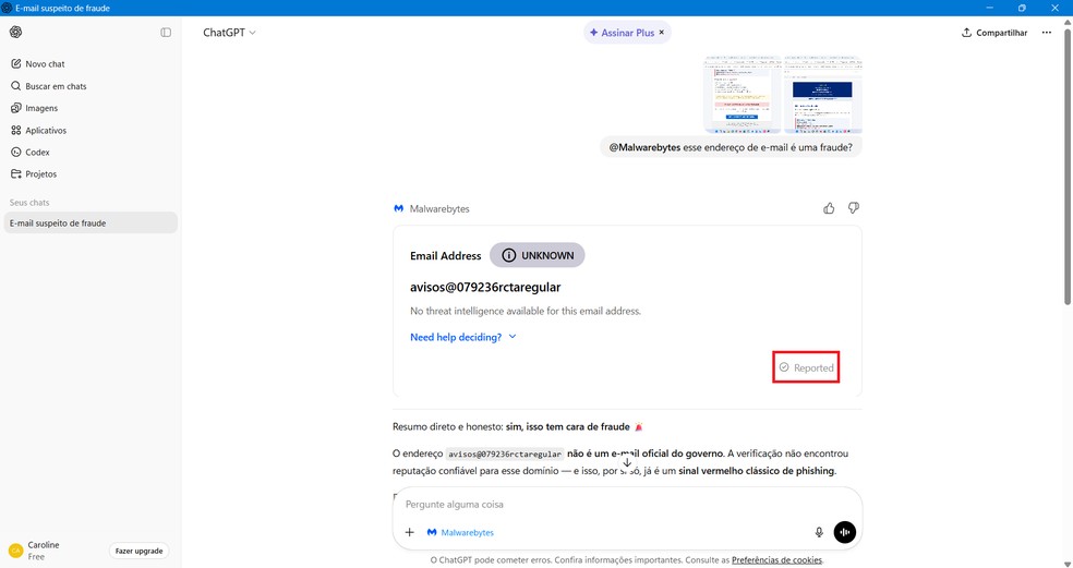  Reprodução/Caroline Silvestre