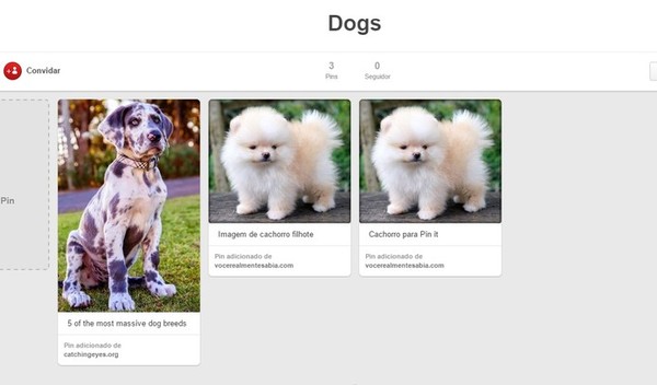 Pinterest: como usar o botão Pin It