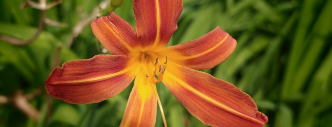  Aline Barbieri/TechTudo