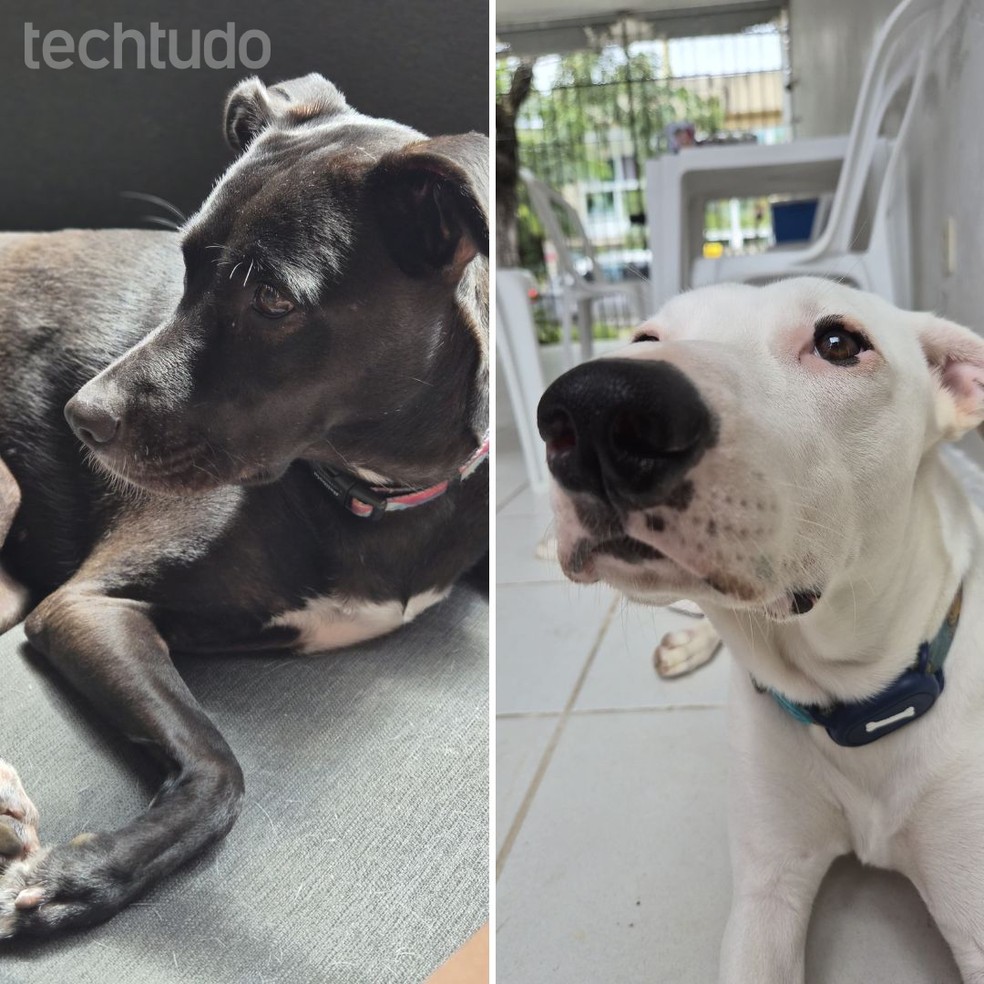  Katarina Bandeira/TechTudo