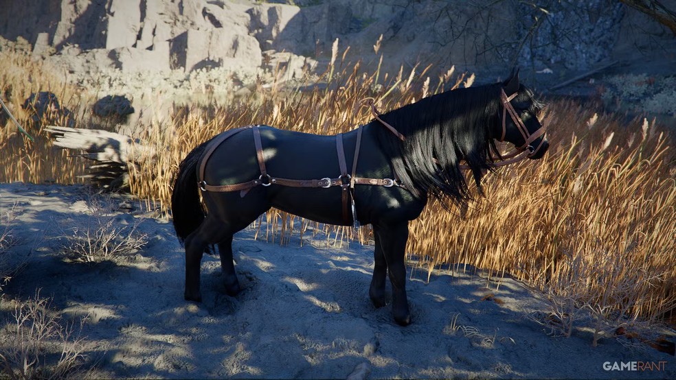  Reprodução/GameRant