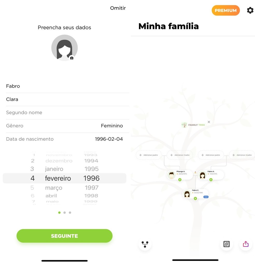 Pelo app Árvore Genealógica Digital, usuários podem criar um heredograma para organizar a família — Foto: Reprodução/Clara Fabro