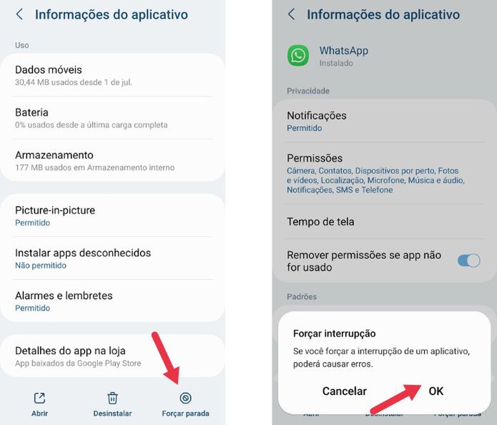 Essa etapa irá forçar a parada do WhatsApp no Android — Foto: Reprodução/Mayara Aguiar