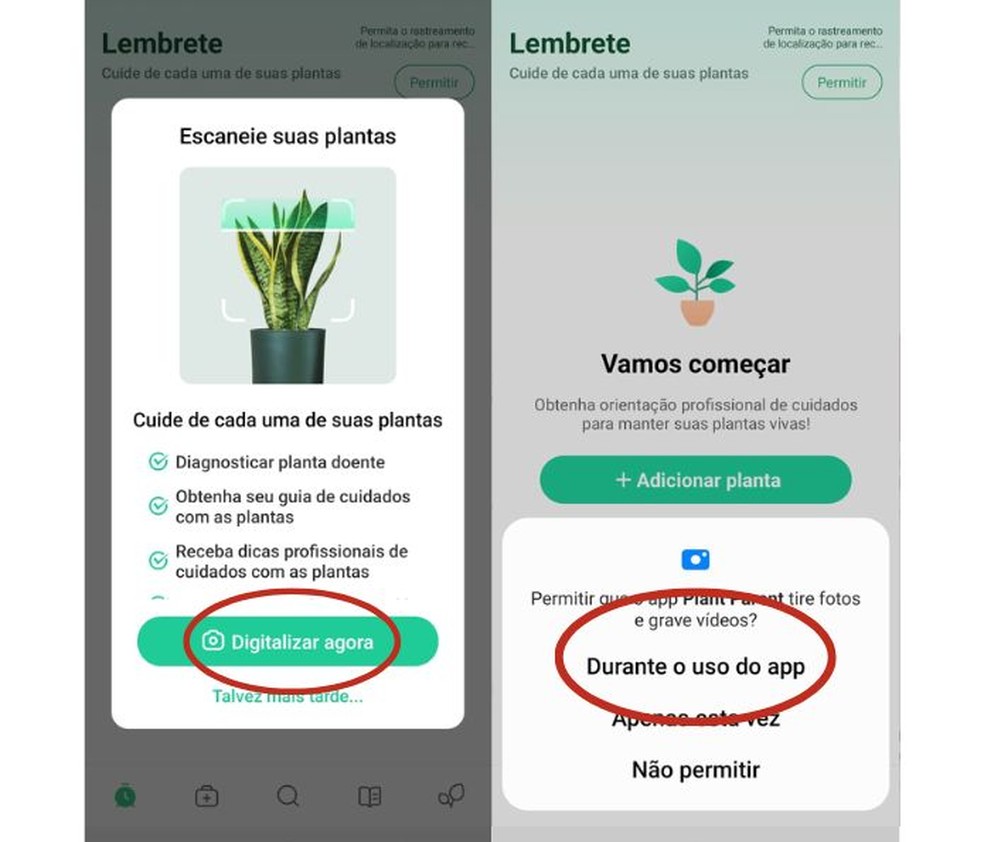 Plant Parent app ajuda a cuidar das suas plantas; veja