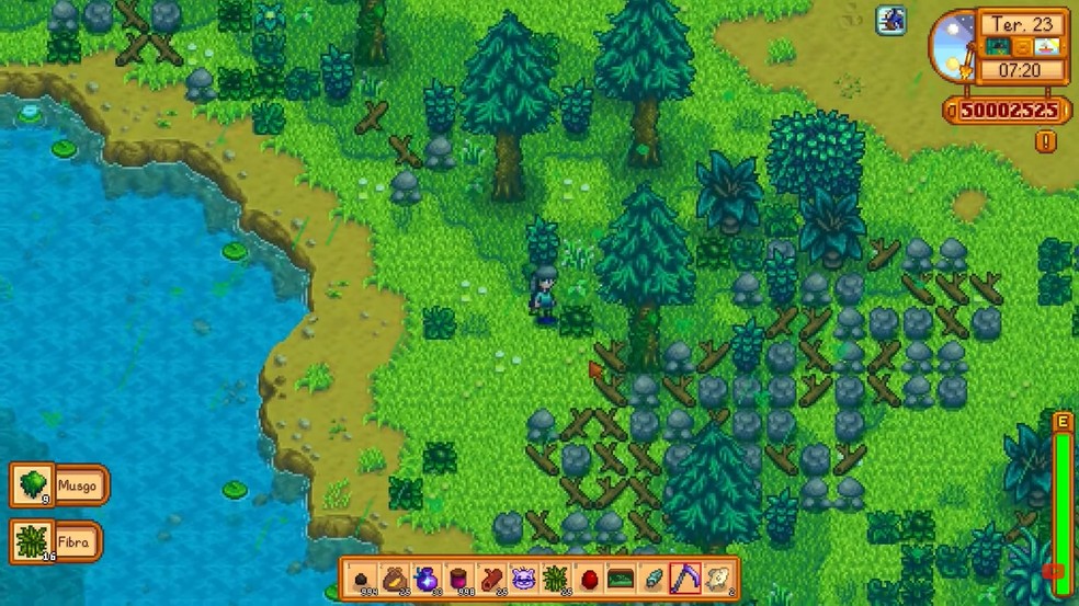  Reprodução/Sofia Cauzin