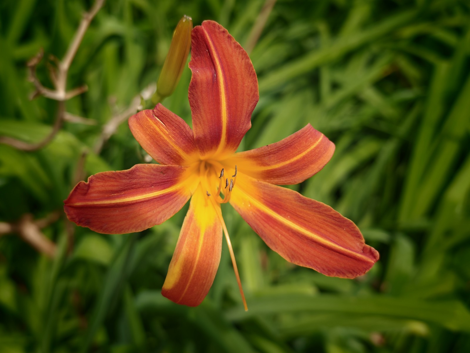  Aline Barbieri/TechTudo