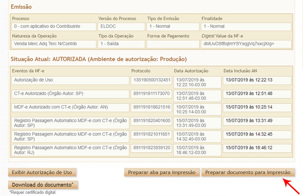 DANFE Online: o que é e como consultar a versão da nota fiscal eletrônica