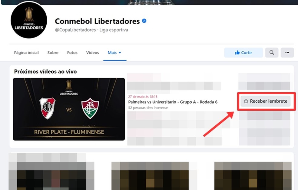 Palmeiras x Universitario ao vivo: onde assistir, horário e escalação