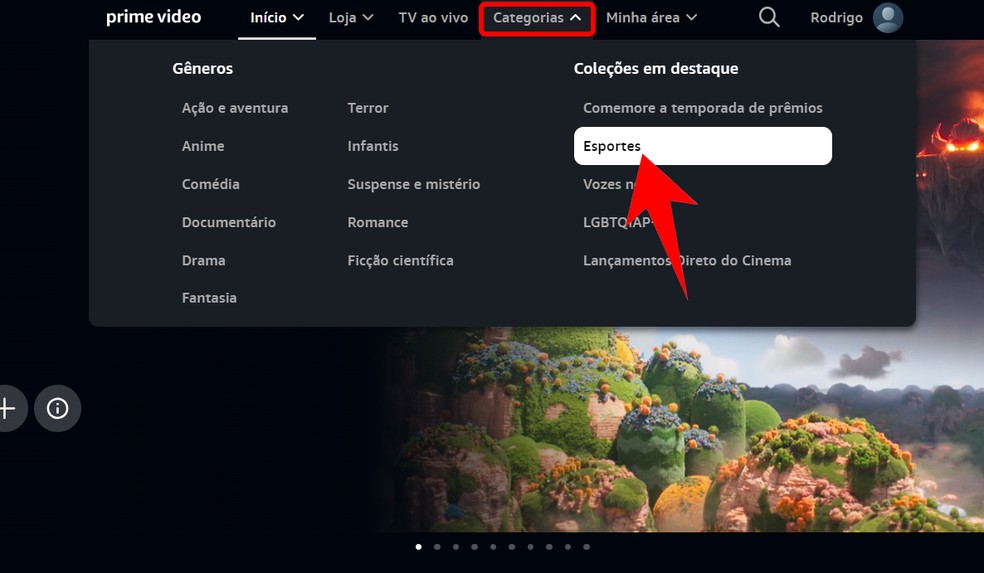 São Bernardo x Corinthians ao vivo: veja onde assistir, horário e ...