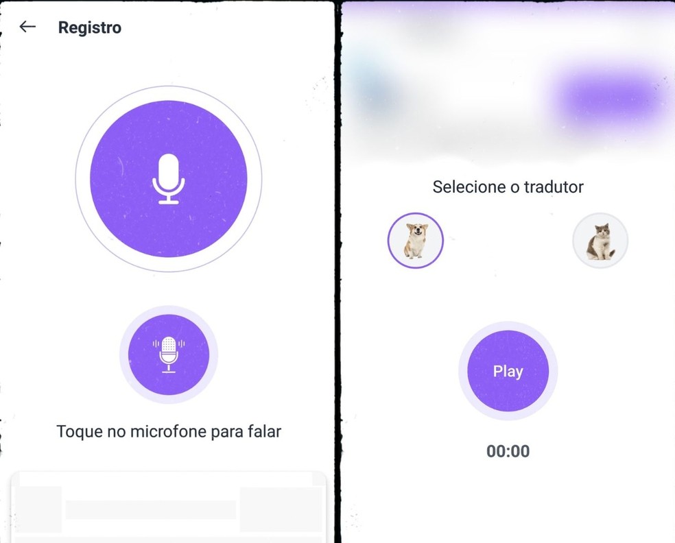 Aplicativo Tradutor de humano para cão promete permitir que usuários gravem áudios e os torne compreensíveis para seus pets — Foto: Reprodução/Gisele Souza