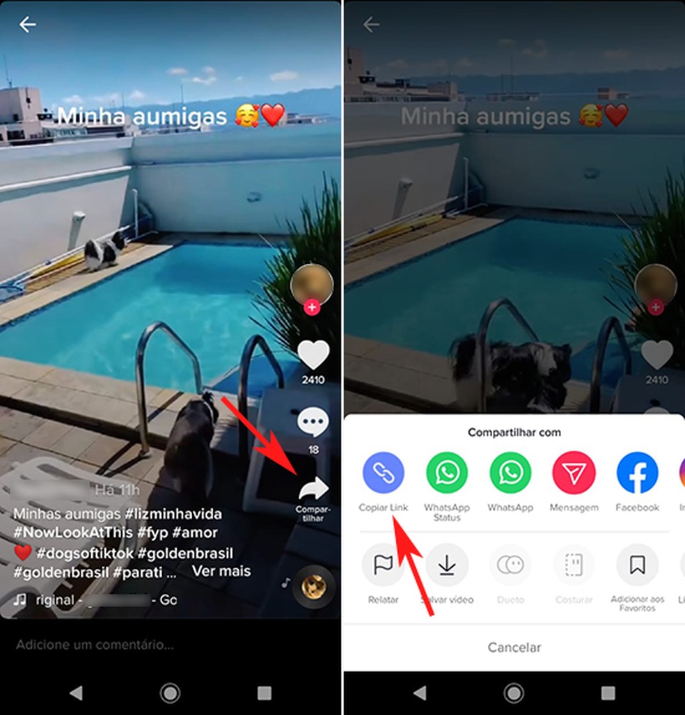 Como tirar logo do TikTok com o site Musically Down