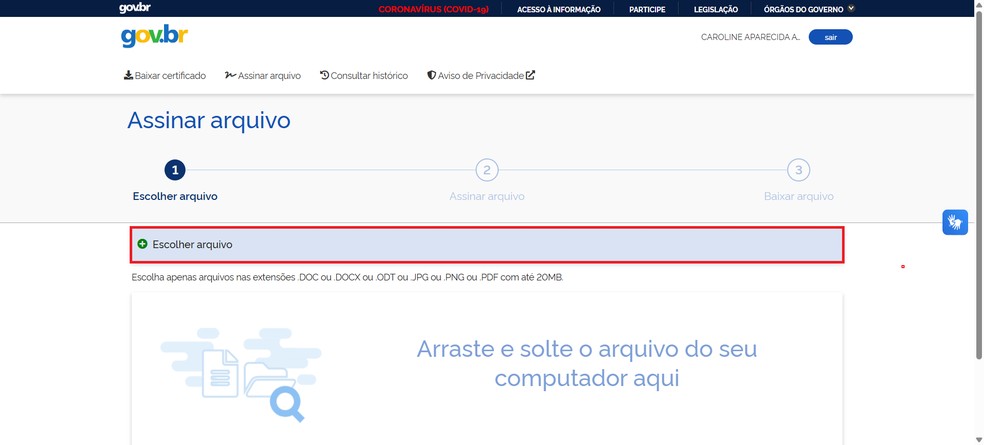  Reprodução/Caroline Silvestre
