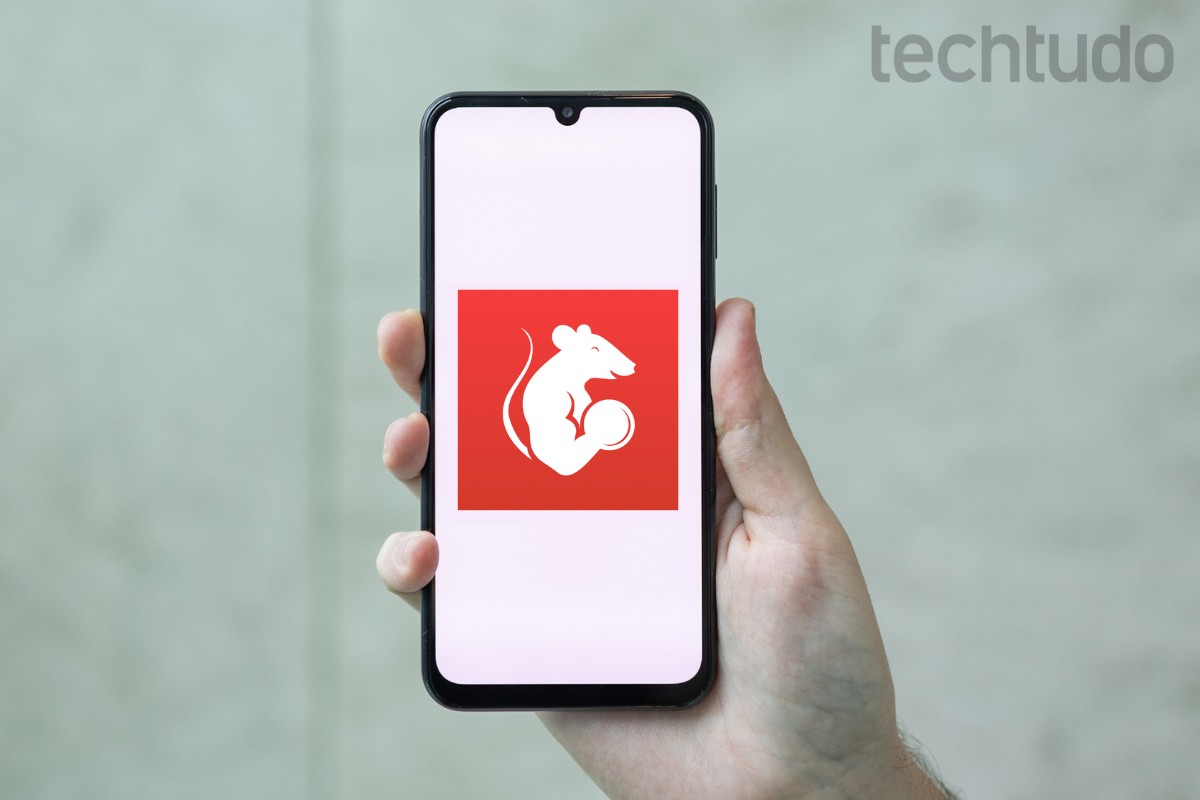 Bateu a meta ou pulou o treino? GymRats libera retrospectiva; veja a sua