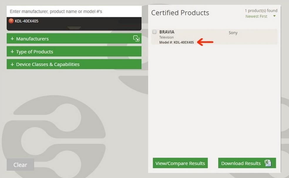  Reprodução/Raquel Freire