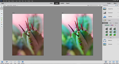 Adobe premiere elements vs cc sale