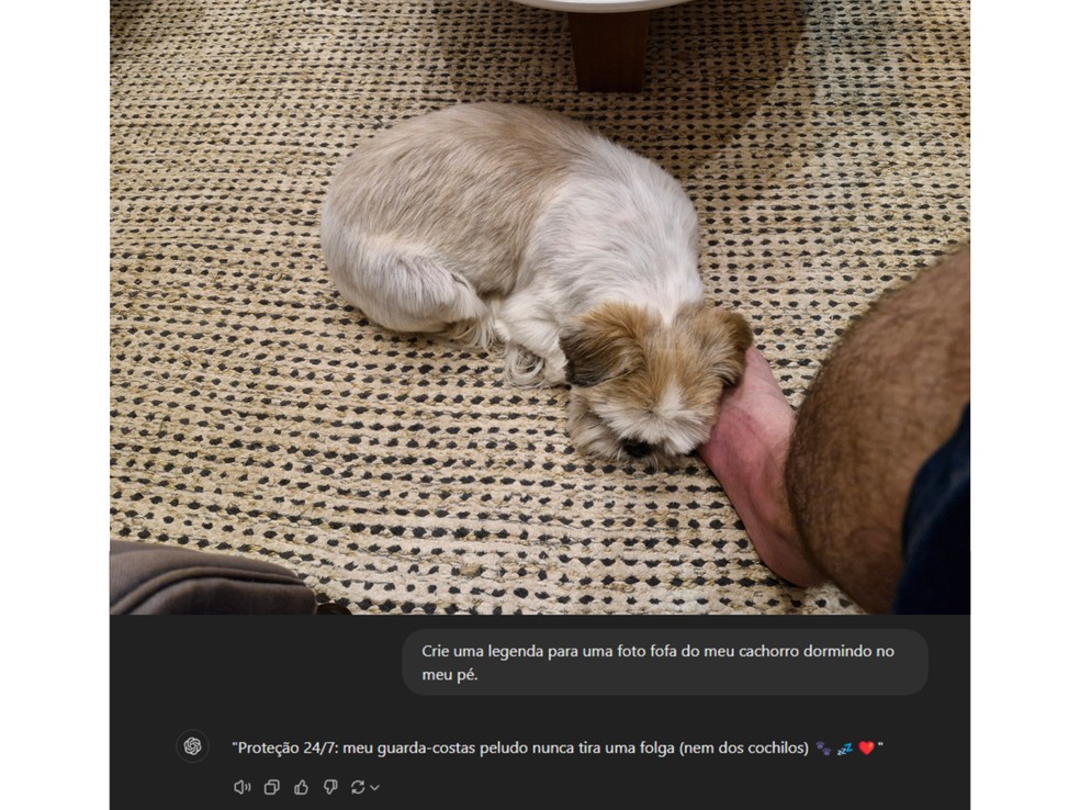  Reprodução/Daniel Trefilio