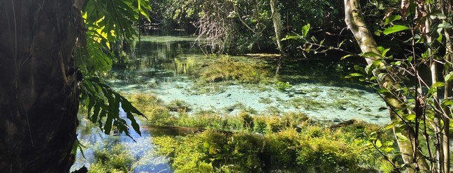 Para um intermediário, a câmera de 200 MP eleva a régua da experiência fotográfica na categoria