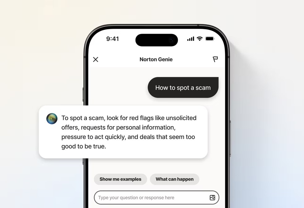  Reprodução / Norton