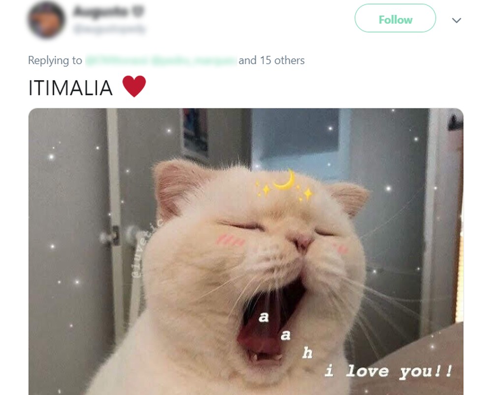 O que é 'iti malia'? Descubra o significado e a origem do meme