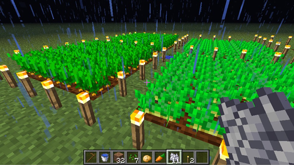 Plantação em Minecraft: saiba como cultivar plantas e fazê-las crescer