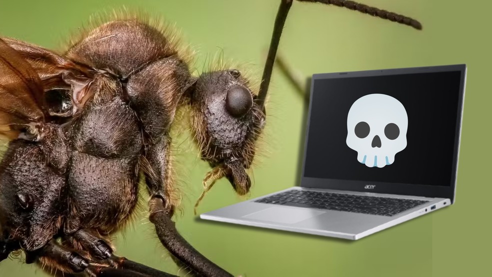 'Bugs reais'? 6 insetos que podem entrar no seu PC e destruir componentes — Foto: Arte/TechTudo