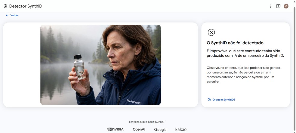 Detector de IA do Google reconhece imagens do ChatGPT e outras IAs ...