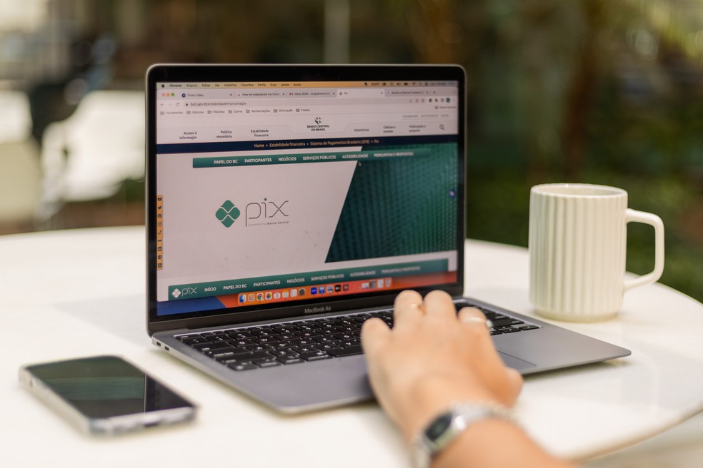 Por meio de softwares maliciosos, o GoPix frauda compras online — Foto: Mariana Saguias/TechTudo