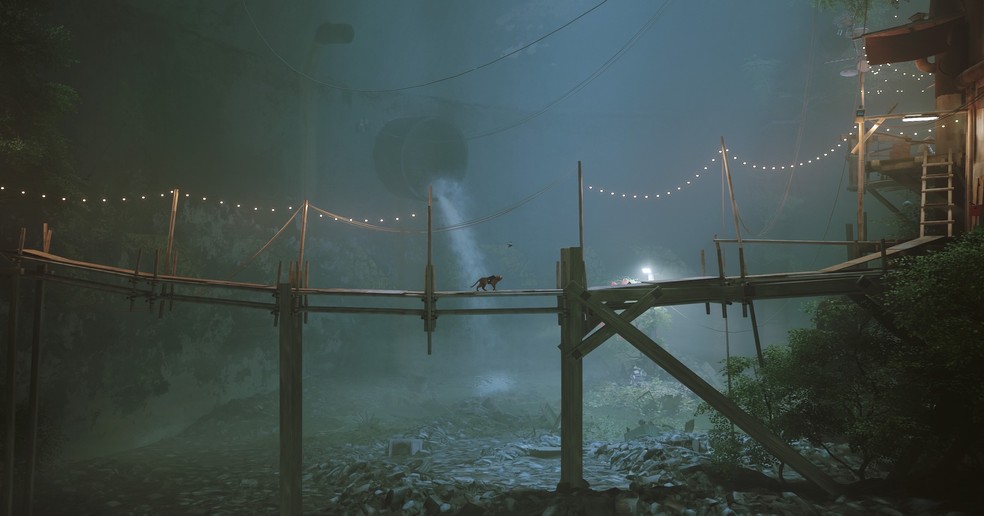  Reprodução/Luiza M. Martins