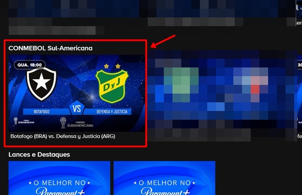Botafogo x Defensa y Justicia ao vivo: onde assistir ao jogo da Sul ...
