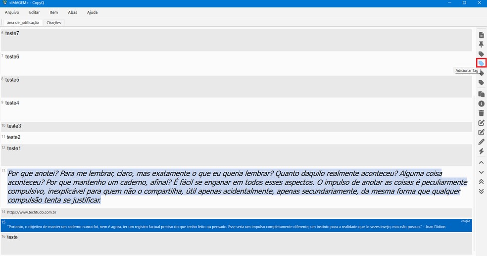  Reprodução/Caroline Silvestre