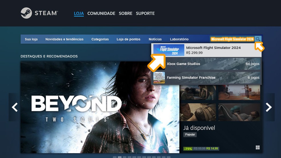 Acesse a loja digital Steam, procure por Microsoft Flight Simulator 2024 e selecione-o entre os resultados — Foto: Reprodução/Rafael Monteiro