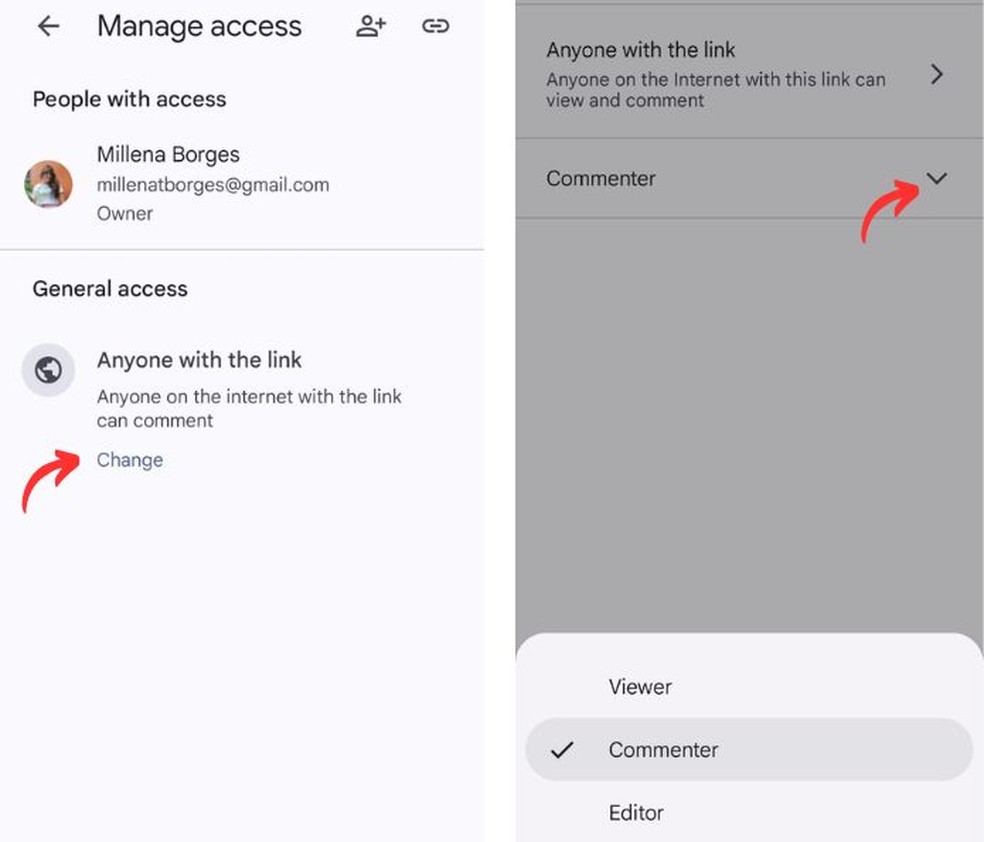  Reprodução/Millena Borges