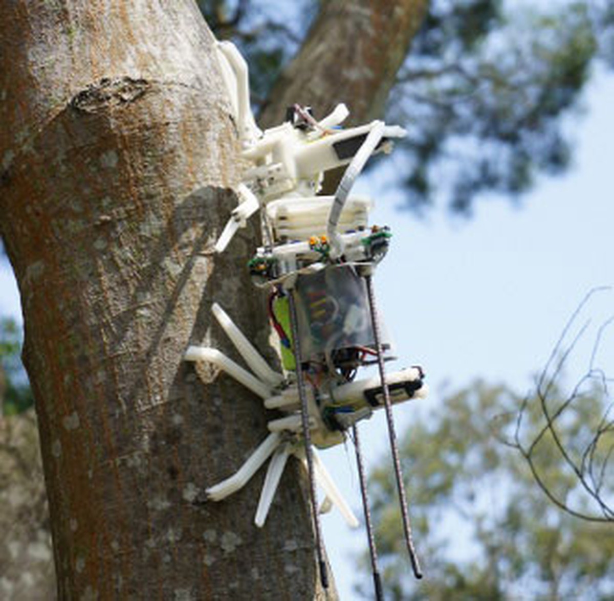 Treebot, um robô capaz de subir em árvores