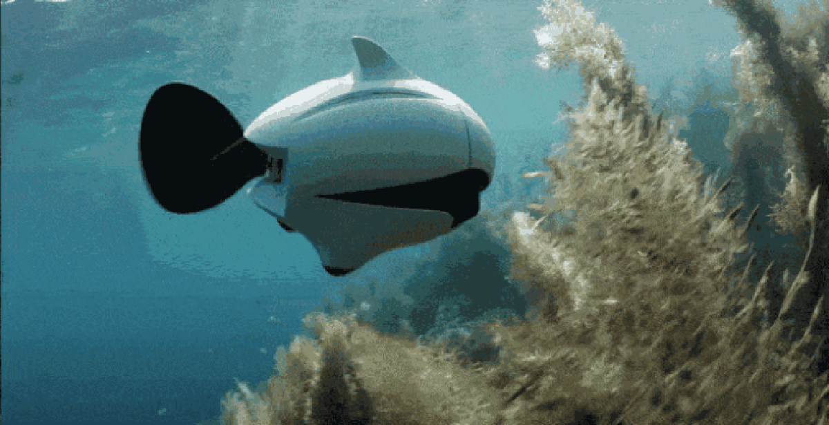 Drone em forma de peixe grava imagens 4K estabilizadas embaixo d gua