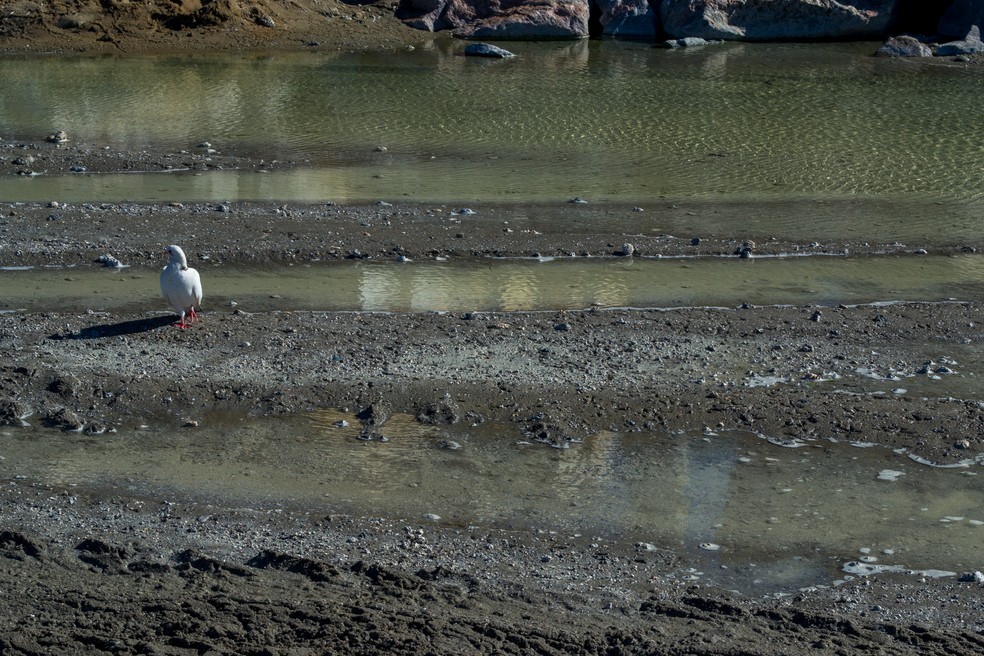  Reprodução/Harley Nascimento (tirada em uma Nikon D3100)
