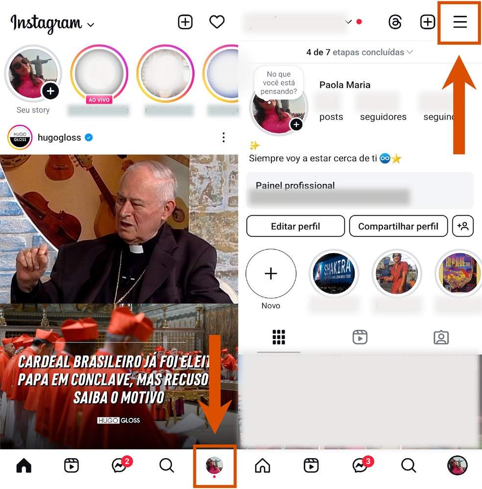  Reprodução/Paola Mansur